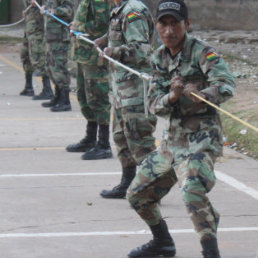 VOLUNTARIOS. Siguen instruccin.