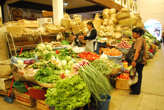 POSITIVO. Precios de las hortalizas se mantuvieron estables y hasta rebajaron en el semestre.