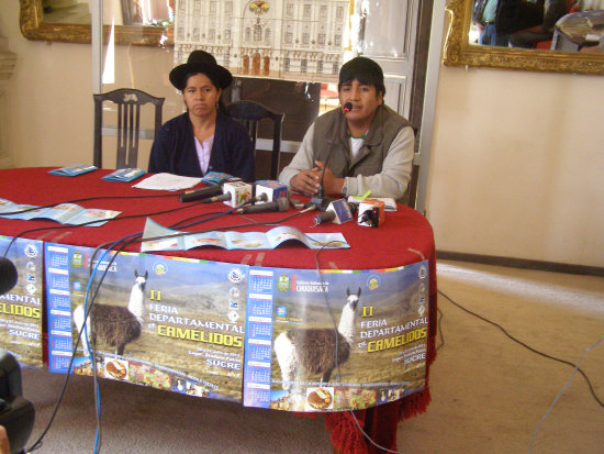 LANZAMIENTO. La Gobernacin organiza la II Feria Departamental de Camlidos, evento del que participarn expositores de cinco municipios.