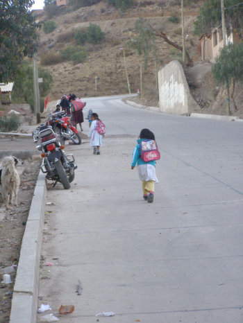 TRANSITABLE. Los vecinos exigen que el servicio de micros llegue a la zona cuanto antes.