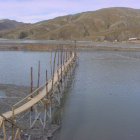 MEDIOAMBIENTE. Los niveles de contaminacin preocupan a los agricultores de la zona.