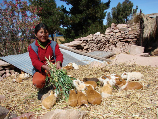 CUY. Mejora hbitos alimenticios.