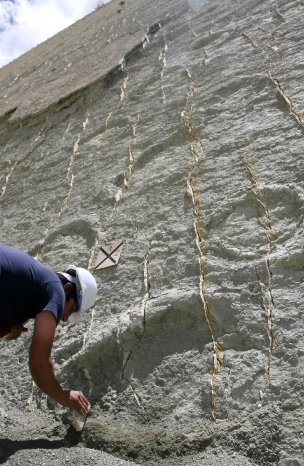 INVESTIGACIN. Trabajos en una huella de titanosaurio en el faralln de Cal Orck'o.