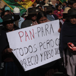 MOVILIZACIN. Centenares de vecinos salieron a las calles.