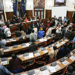 BALANCE. Los resultados en la Asamblea Plurinacional a fecha no son los esperados .