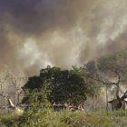 INCENDIO. Brigadas comenzarn a apagar el fuego por tierra y aire desde hoy.