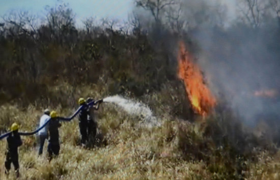 INCENDIO. Al menos 13.000 hectreas forestales fueron afectadas por el fuego.