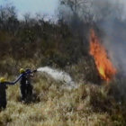 INCENDIO. Al menos 13.000 hectreas forestales fueron afectadas por el fuego.