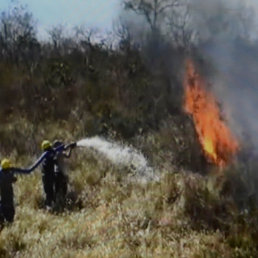 INCENDIO. Al menos 13.000 hectreas forestales fueron afectadas por el fuego.