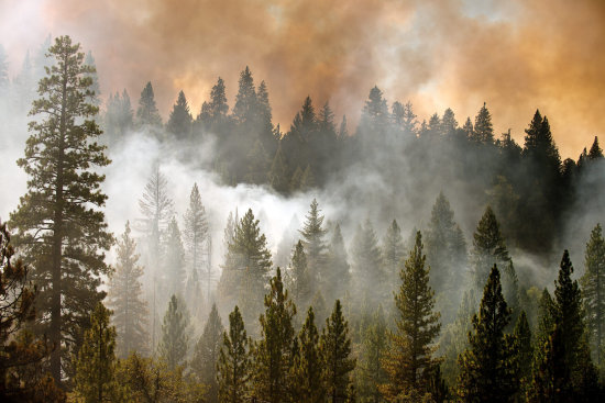 DESASTRE. Las llamas consumieron miles de hectreas del famoso parque Yosemite.