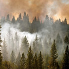 DESASTRE. Las llamas consumieron miles de hectreas del famoso parque Yosemite.