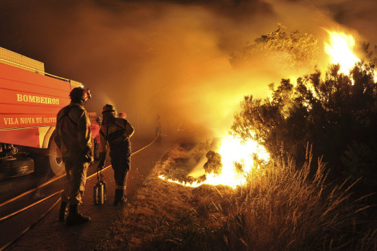 CATSTROFE. Cada ao, miles de hectreas son devoradas por el fuego.