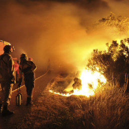 CATSTROFE. Cada ao, miles de hectreas son devoradas por el fuego.