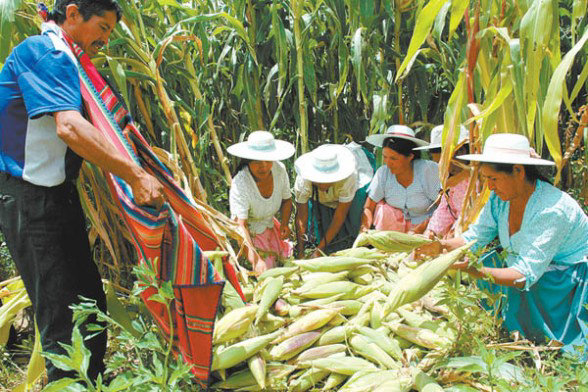 PRIORIDAD. El Gobierno privilegia el abastecimiento local antes que las exportaciones.