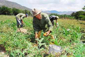 AGRO. El propsito es conseguir informacin.