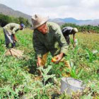 AGRO. El propsito es conseguir informacin.