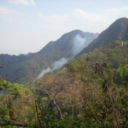 RIESGO. Los incendios estn latentes.