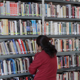 BIBLIOTECAS. Comunidades alejadas recibirn los libros donados.