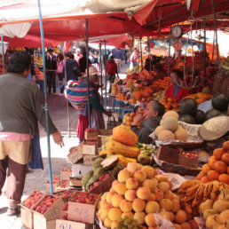 AUTORIZADAS. Vendedoras del mercado.