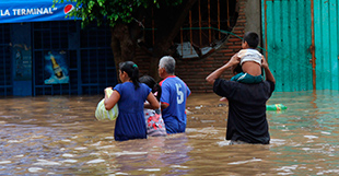 Huracn y tormenta siembran<br>luto en gran parte de Mxico