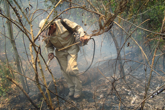 ALERTA. Los incendios causan serios daos a los productores agropecuarios del lugar.