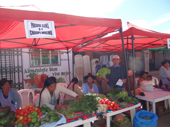 FERIA. Varios agricultores lograron vender toda la hortaliza que pusieron a la venta.