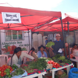 FERIA. Varios agricultores lograron vender toda la hortaliza que pusieron a la venta.