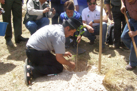 Entrega. Autoridades departamentales y activistas realizaron la entrega de plantines y comenzaron con la plantacin.