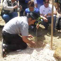 Entrega. Autoridades departamentales y activistas realizaron la entrega de plantines y comenzaron con la plantacin.