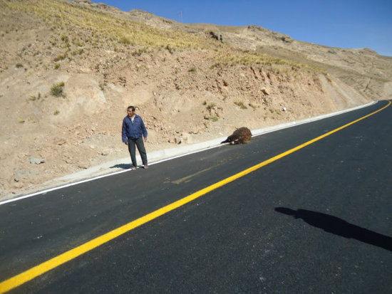 RUTA. Un accidente pasado en la misma va.