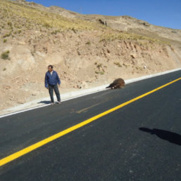 RUTA. Un accidente pasado en la misma va.