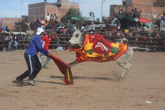 Espectculo. En la corrida se quitaron a los toros las caronas que no llevan dinero como en Yotala, la muestra encant al pblico presente.