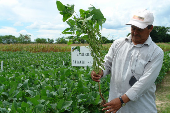 RUBRO. Agricultura una de las prioridades.