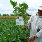 RUBRO. Agricultura una de las prioridades.