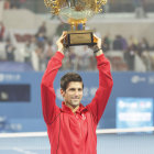 El serbio Novak Djokovic se coron campen del Master 1000 de Shanghi, tras vencer a Juan Martn Del Potro.