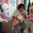 ACCESO. Ahora los propietarios de perros o gatos pueden hacer vacunar a sus mascotas en cualquier centro de salud de primer nivel.