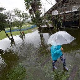 TORMENTA. Una mujer camina en medio de la inundacin en su finca, tras el paso del tifn Wipha en Japn.