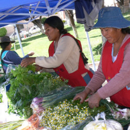 FERIA. Conmemoraron el Da Mundial de la Alimentacin en el parque Simn Bolvar.