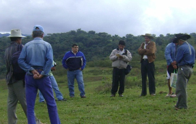 TAREA. El INRA es la entidad encargada de ejecutar el saneamiento de tierras en el pas.