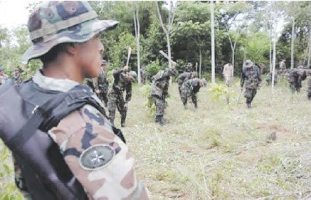 Misin. Efectivos de la Fuerza de Tarea Conjunta proceden a la erradicacin de plantaciones ilegales de hoja de coca.