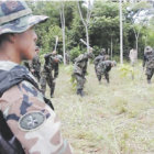 Misin. Efectivos de la Fuerza de Tarea Conjunta proceden a la erradicacin de plantaciones ilegales de hoja de coca.