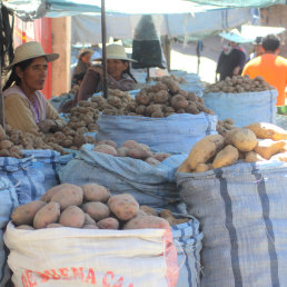 INCREMENTO. Vendedoras dicen que los precios aumentarn por la demanda.