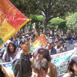 PROTESTA. Los vendedores de fruta, asentados en la calle Regimiento Carabineros protestaron en la puerta de la Alcalda.