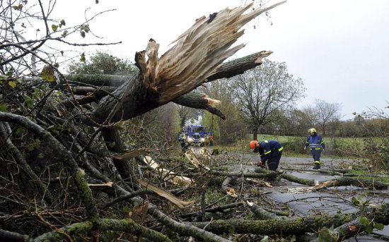 DAOS. Habitantes del norte de Alemania observan los destrozos provocados por el paso de un vendabal de viento y lluvias.