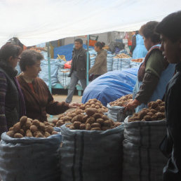 OFERTA. En algunos casos la oferta ha disminuido por las lluvias que afentaron la produccin.