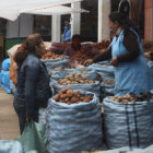 PRECIO. La papa imilla cuesta Bs 70 la arroba en el mercado de los Pueblos Originarios (ex Mercado Campesino); la ms econmica es la papa rosada (Bs 55).