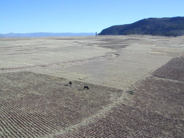 SUPERFICIE. La Alcalda de Yamparez ofreci un predio de 100 hectreas.