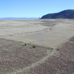 SUPERFICIE. La Alcalda de Yamparez ofreci un predio de 100 hectreas.