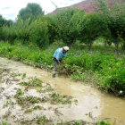 DESASTRE. Hay familias que perdieron parte de sus cultivos en algunas comunidades rurales del municipio de Sucre debido a la lluvia y el granizo.