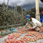 COLOSO. Alarma en Guatemala.